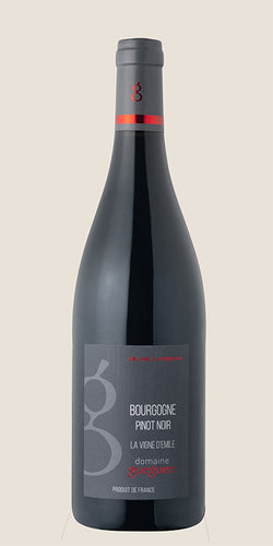 Domaine Gueguen  - Bourgogne Pinot Noir Rouge “La Vigne d’Emile” - 2022