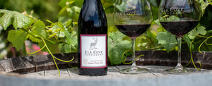 Elk Cove Willamette Valley Estate Pinot Noir 2022