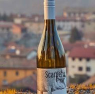 Scarpetta Pinot Grigio DOC Friuli 2024